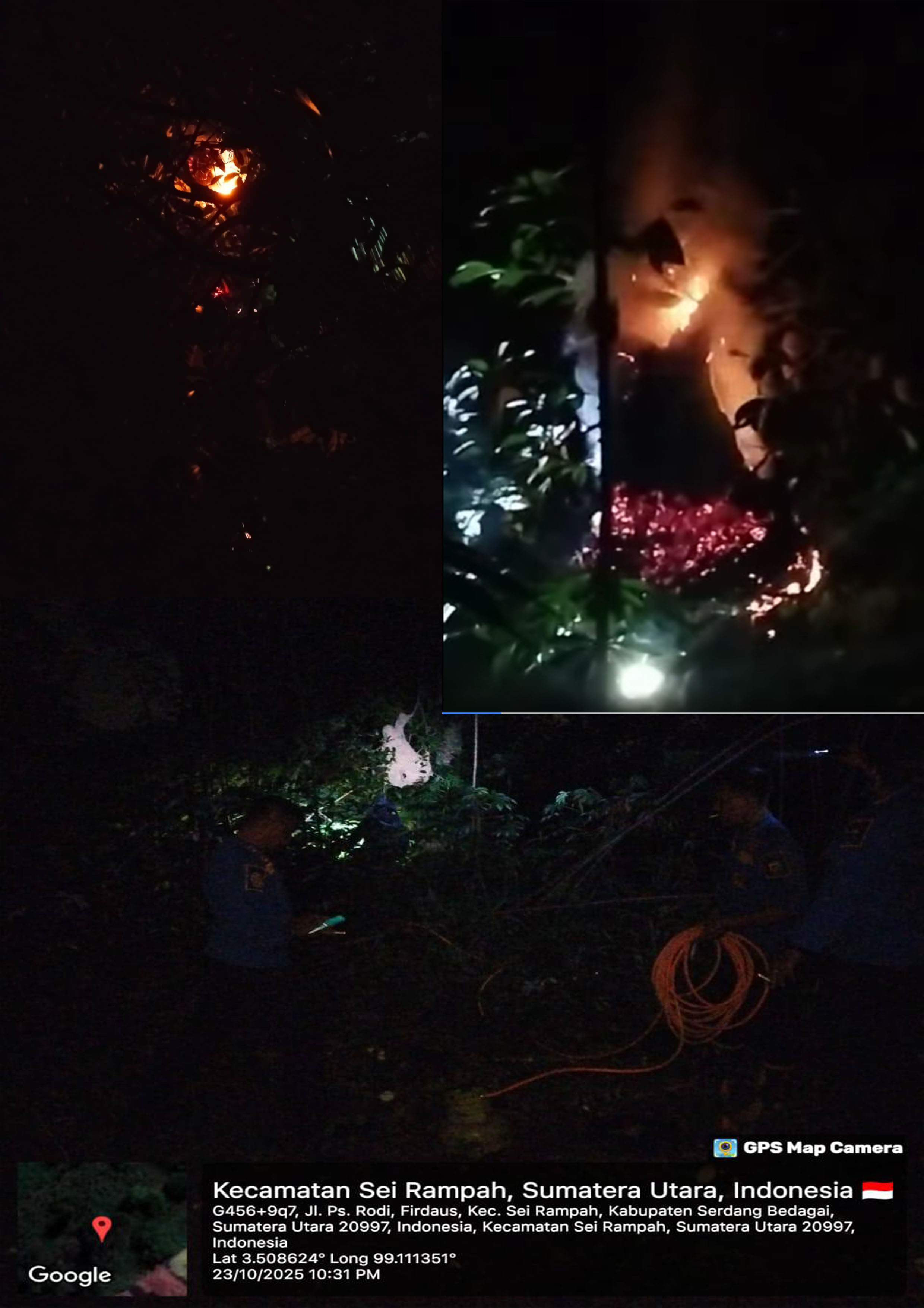 Gambar Damkar Sergai Evakuasi Dua Sarang Tawon 