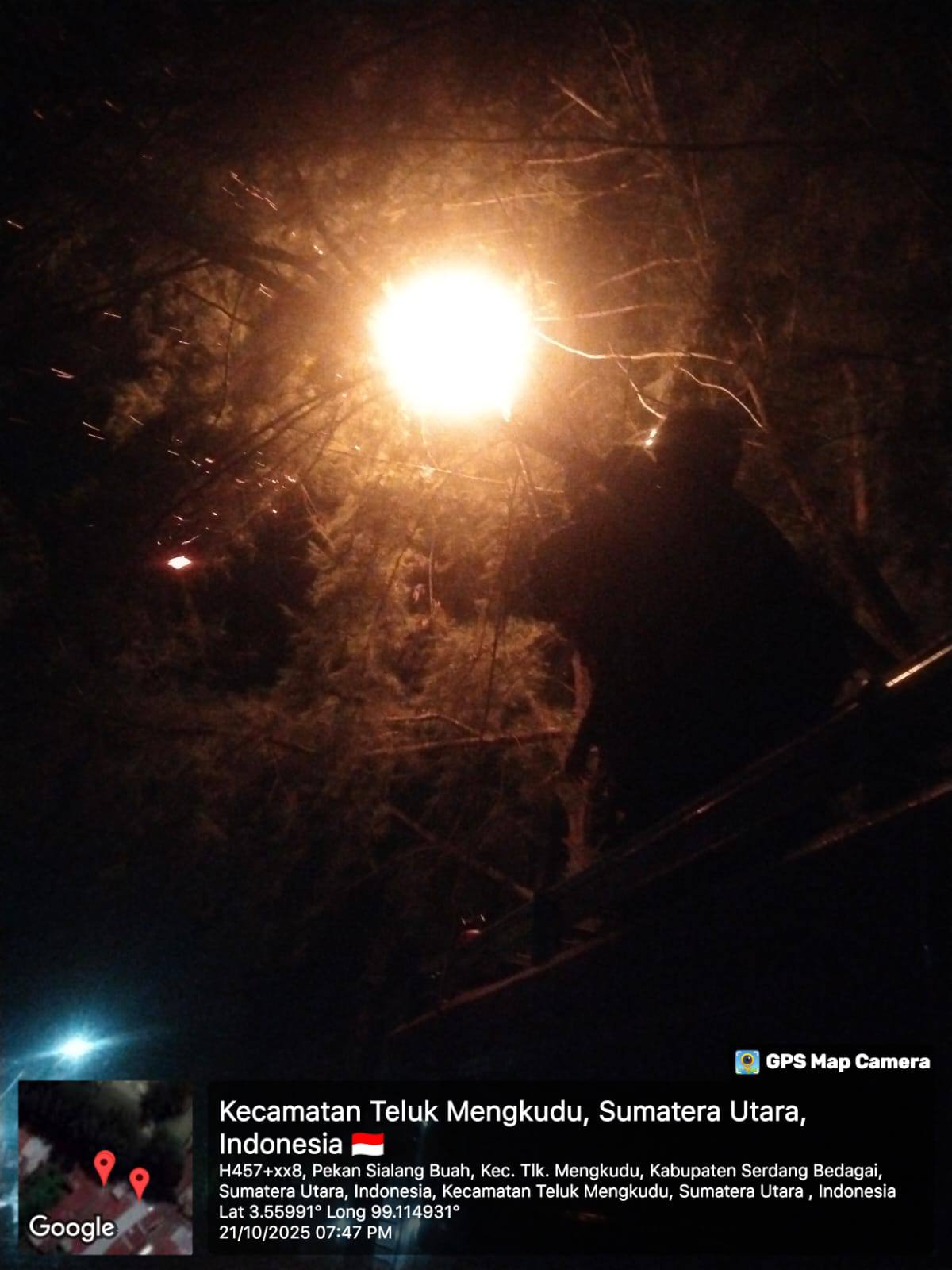 Gambar Evakuasi Sarang Tawon 